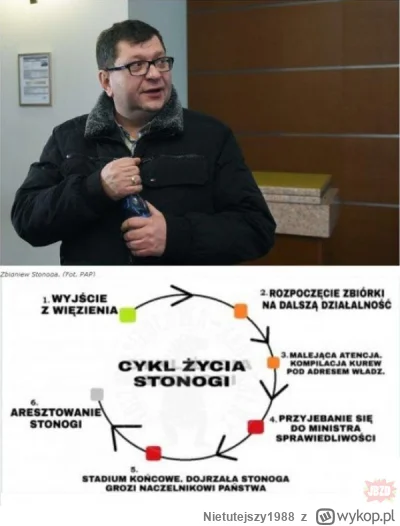 Nietutejszy1988 - Nic nowego