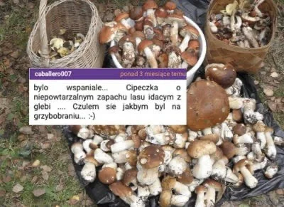 OskarexSpzoo - @pieroszki: