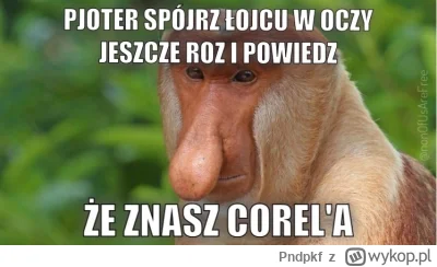 Pndpkf - @mam_spanko