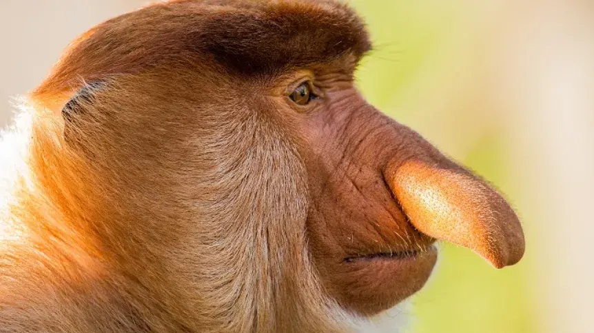 youngP - @frugASS: synek dzien przemeczysz a sie polozysz o ludzkiej porze w koncu