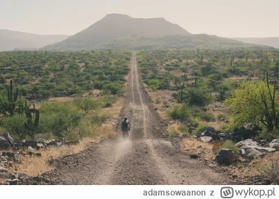 adamsowaanon - No jazda tam, do roboty, 1-2 dni wolnego i wio od nowa, 

Niby dorośli...