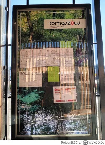 Poludnik20 - Do rozkładu jazdy zielonego przystanku autobusowego „Pl. Kościuszki - Ar...