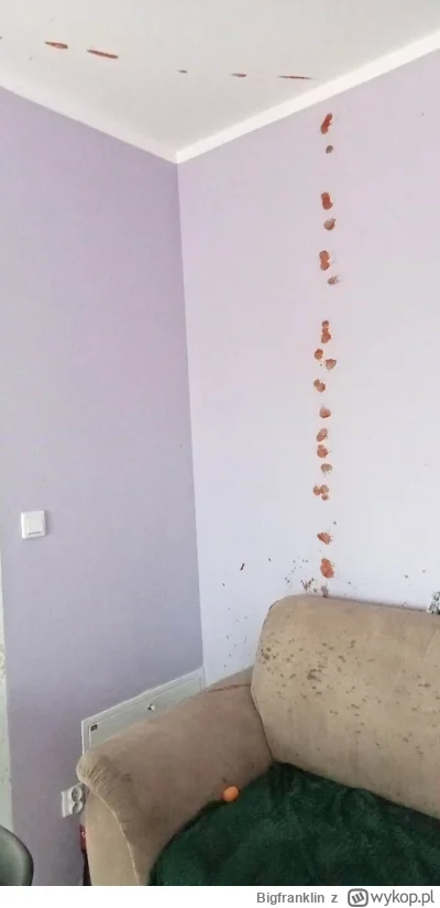 Bigfranklin - Nie polecam zostawiać ketchupu Włocławek na stole po kolacji. Jak mi dz...