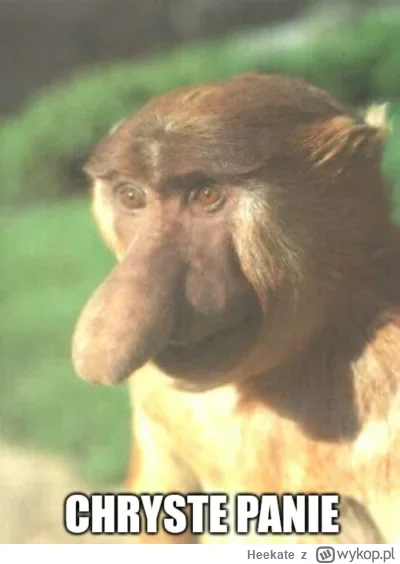 Heekate - @fidelio-fidelio