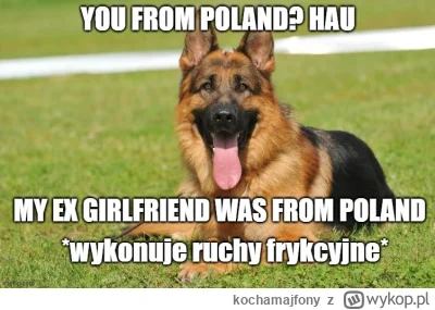 kochamajfony - XDDD
#p0lka #polki #rozowepaski #zwiazki #dogpill