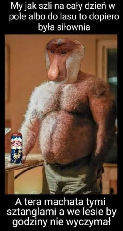 PIAN--A_A--KTYWNA - #heheszki #mikrokoksy #nosaczsundajski