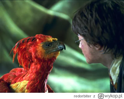 redorbiter - #harrypotter