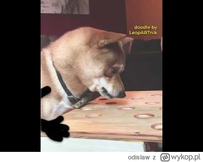 odislaw - #psy #heheszki #gifyzdorysowanymibuzkamiiraczkami