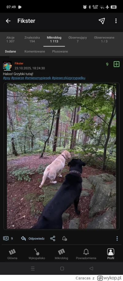 Caracas - @KociaraWiki facet w dodatku śmieje się z ludzkiej tragedii i zjedzenia żyw...