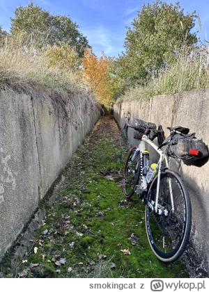 smokingcat - 614 301 + 101 = 614&nbsp;402 

#rowerowyrownik