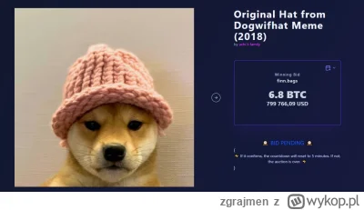 zgrajmen - Za czapkę 800k

#kryptowaluty