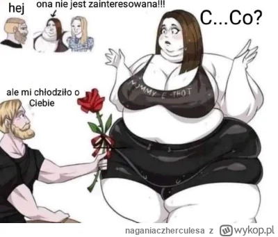 naganiaczherculesa - #grubaimanlet