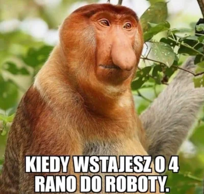 tymoteusz-klinkiewicz - #nieruchomosci 

Kuhrfa kiedyś to było...

Człowiek 5 lat cze...