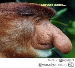 wesolymarcin - @wazogrodowy: