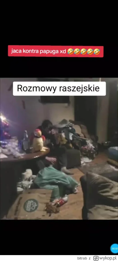 bitrab - #danielmagical ile może kosztować taka papuga?