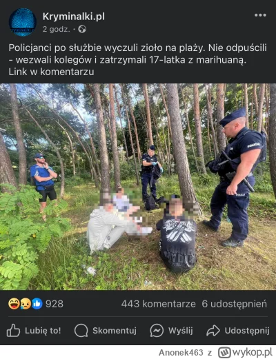 Anonek463 - Człowiek od razu bezpieczniej się czuje ( ͡° ͜ʖ ͡°) #heheszki #policja #m...