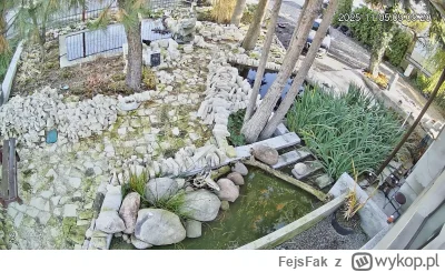 FejsFak - @wujeksredniarada: nie widzę różnicy