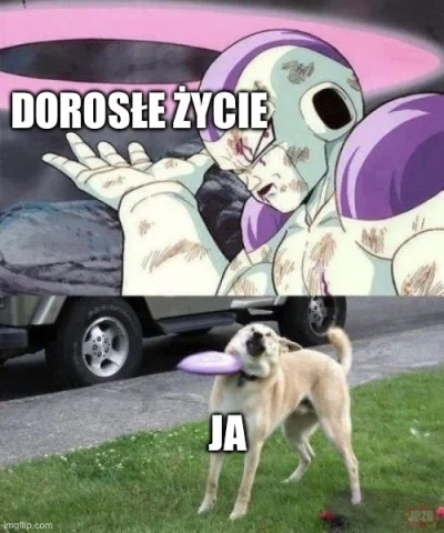 PetalMind - Stworzyłem oto to dzieło zwane potocznie jako mem