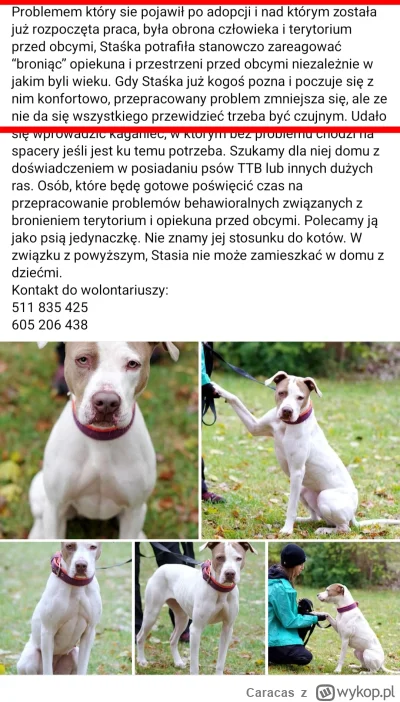 Caracas - Państwo to na początku powinno się zabrać za takie przybytki jak adopcja ta...