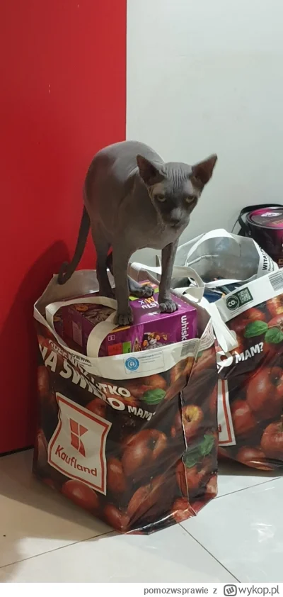 pomozwsprawie - Pozdrawiam ( ͡° ͜ʖ ͡°)