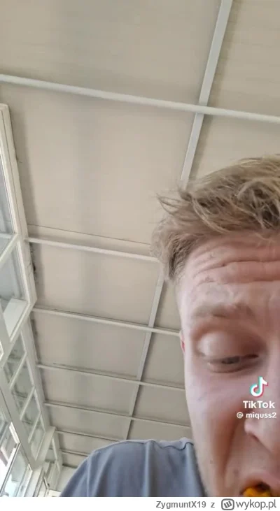 ZygmuntX19 - #kononowicz na wersalkę go #patostreamy