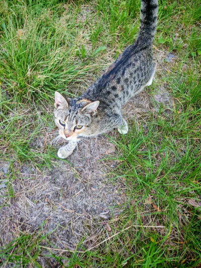 Lasomir - @Lasomir tutaj mnie jeszcze goniła