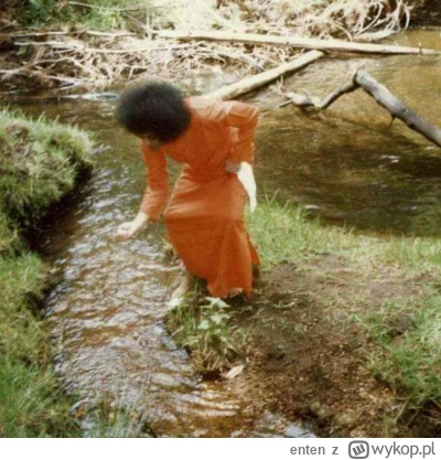 enten - Fakty i do wody proszę Państwa!
Tak jak ten stół.

#bernatowicz #codziennysai...