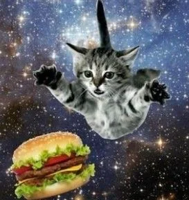 dywergent - zakupie tego fiszburgera, ciekawe czy bedzie tak samo obrzydliwy jak kwar...