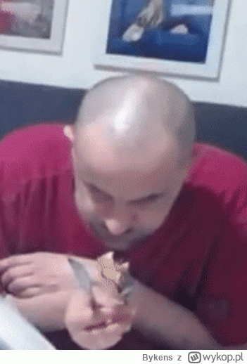 Bykens - #danielmagical