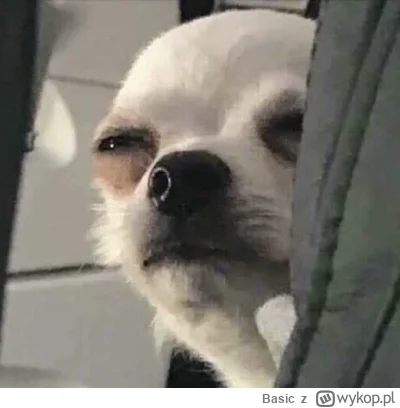 Basic - @SystemHalted2_0