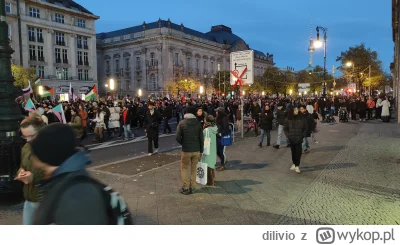 dilivio - Dwie godziny temu nadziałem się przypadkiem na gigantyczną manifestację w B...