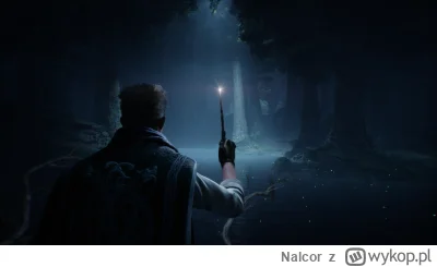 Nalcor - #hogwartslegacy 

Ale mi się screen ustrzelił, aż się podzielę z wami.