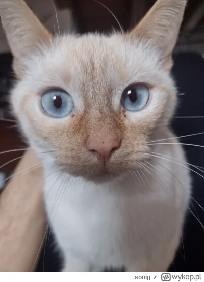 s.....g - mój aniołek ma dzisiaj drugie urodziny, a nawet śpiochów nie wyjęła z oków
...