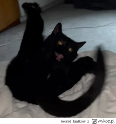 leonid_bialkow - SPLUWAM RZYGAM ZDYCHAM AAAAAAAAAAAAAAAAAAA