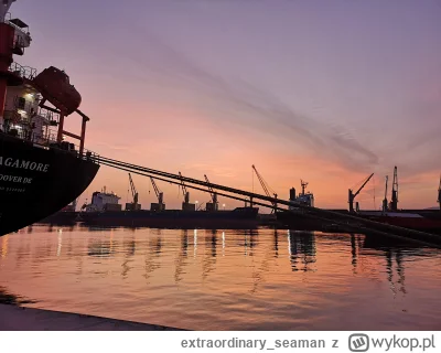 extraordinary_seaman - #codziennywschodslonca

Siemano

Miało być bocianie gniazdo, a...