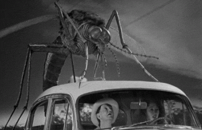wfyokyga - Atak giga komarów w Sopocie 1972, tak było