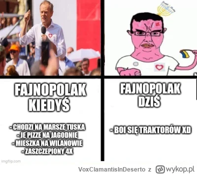 VoxClamantisInDeserto - #polityka