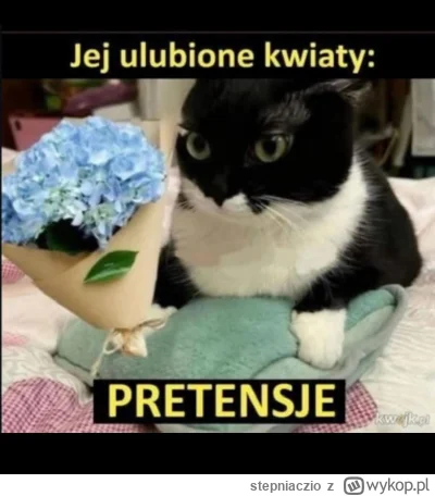 stepniaczio - #heheszki #humorobrazkowy