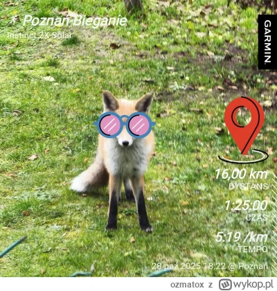 ozmatox - 7 305,38 - 16,00 = 7 289,38

Ciężko dzisiaj, po tych podbiegach w Sowich Gó...