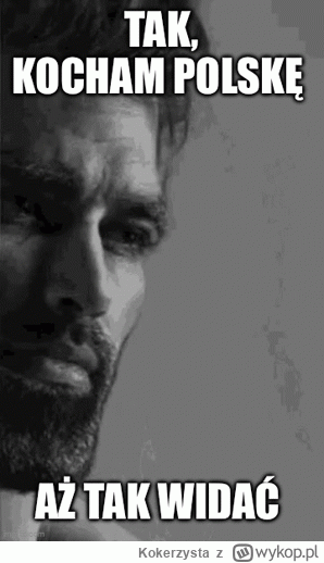 K.....a - @Madziol127: I wszystko! (⌐ ͡■ ͜ʖ ͡■)