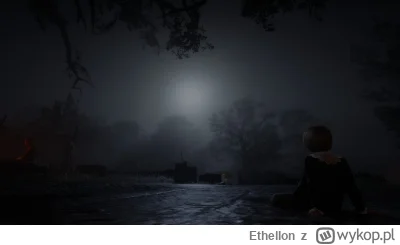 Ethellon - #gry #rdr2 #ethellongry