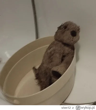 shm12 - Zamiast leżeć w łóżku i mieć wolne chłop z--------a przez pół Polski na zaocz...