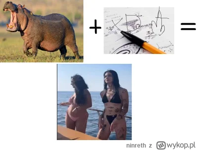 ninreth - ( ͡° ͜ʖ ͡°)

#famemma #danielmagical