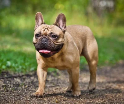 themindcrusherHS - A najgorsi to wykopki, wiecznie narzekają, nic im nie pasuje, wszy...