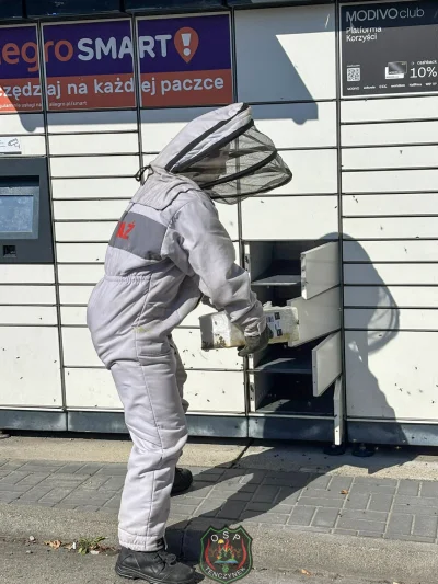 okoboji - kupa w paczkomacie