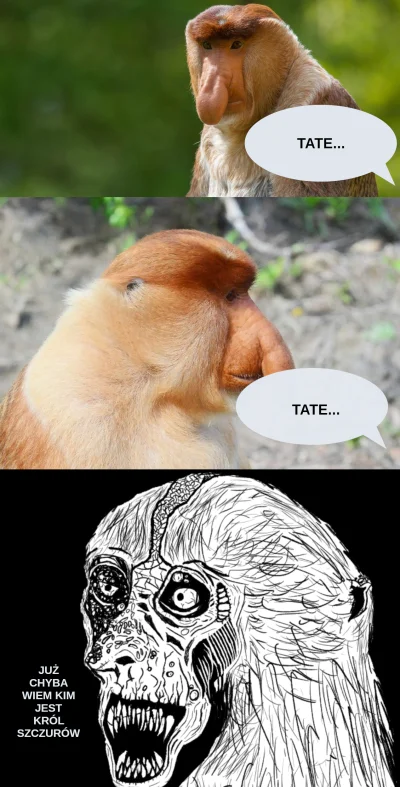 KapralKing2 - #konkursnanajbardziejgownianymemznosaczem