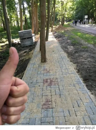 Megasuper - W końcu ktoś pomyślał i drzewa sobie rosną ( ͡º ͜ʖ͡º)