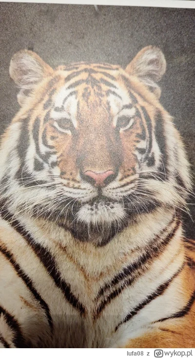 lufa08 - Pomiedzialek, nowy poczatek. Idę do pracy bo mam morale, mam ciepłą wodę, og...