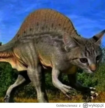 GoldenJanusz - #przegryw