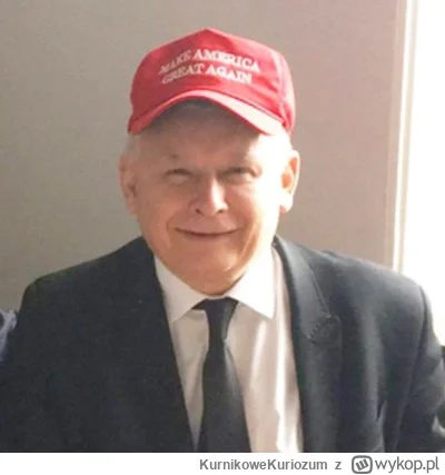 KurnikoweKuriozum - Szukam jakiegoś normalnego może logicznego wyjaśnienia...? TRUMP ...